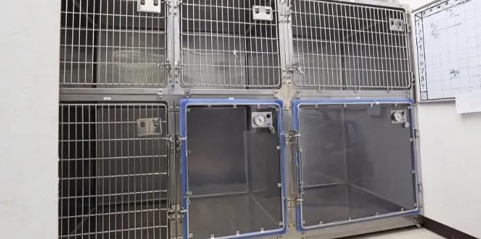 トリミングとペットホテルを費用を費用を抑えた価格で提供